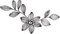 Ornamental Flower Vector Illustration