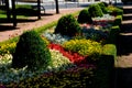 Ornamental flowerbed in front of the castle on the ground floor. The planting of annuals is in the shape of a circle with a moon s