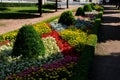 Ornamental flowerbed in front of the castle on the ground floor. The planting of annuals is in the shape of a circle with a moon s