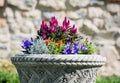 Ornamental flowerpot full of flowers Royalty Free Stock Photo