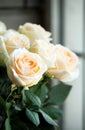 Ornamental Flowers - Charming Champagne Rose Royalty Free Stock Photo