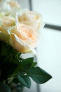 Ornamental Flowers - Charming Champagne Rose Royalty Free Stock Photo