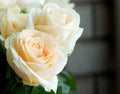 Ornamental Flowers - Charming Champagne Rose