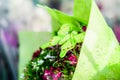 Ornamental Flowers After Rain In Cinarcik Town - Turkey Royalty Free Stock Photo