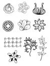 Ornamental flowers. Vector set with abstract floral elements Royalty Free Stock Photo