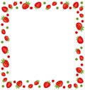 Ornamental Frame Made of Strawberry Royalty Free Stock Photo