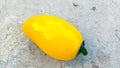 Ornamental fruit of the mango plant made from crystal glass