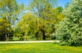 ornamental garden behind the fence