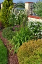 Colourfull ornamental garden with group of shrubs perennials and conifers Royalty Free Stock Photo