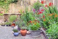 Ornamental garden with colorful plants in flowerbed and wooden table Royalty Free Stock Photo