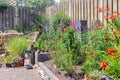 Ornamental garden with colorful plants in flowerbed and wooden table Royalty Free Stock Photo