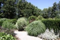 Ornamental garden with ornamental grasses and perennials