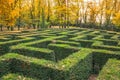 Ornamental garden with hedges of buxus sempervirens as a labyrinth. Maze garden ner Loucen castle in Czech republic