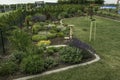 Ornamental garden at the house in summer full of plants.