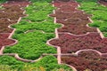 Ornamental Gardens at Pearl Mosque (Moti Masjid) in Agra Fort, Agra, Uttar Pradesh, India Royalty Free Stock Photo