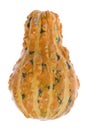 Ornamental Gourd Isolated