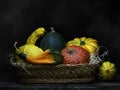 Ornamental gourds, pumpkins, winter squashes in basket. Still life. Chiaroscuro, baroque style light painting.