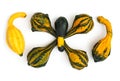 Ornamental gourds stacked on a white background