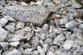 Ornamental gravel in the Japanese garden Royalty Free Stock Photo