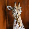 Ornamental hand crafted sculpture of african giraffe in sunlight