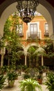 Ornamental historic courtyard garden interior design