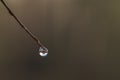 A droplet of water reflecting the Ornamental Lake on Southampton Common Royalty Free Stock Photo