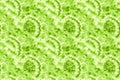 Ornamental Lime Bright Spots Distressed Silk.