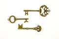 Ornamental medieval vintage keys with intricate forging, composed of fleur-de-lis elements, victorian leaf scrolls and heart shape Royalty Free Stock Photo