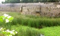 Ornamental old stone wall of vellore fort with grass field Royalty Free Stock Photo