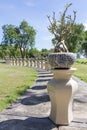 Ornamental plantpots on stands