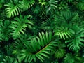 ornamental plants backdrop. Tropical leaves texture background, green floral pattern in jungle, illustration, generative AI Royalty Free Stock Photo