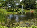 Ornamental pond and water fountain in a garden Royalty Free Stock Photo