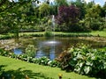 Ornamental pond and water fountain in a garden Royalty Free Stock Photo
