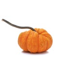 Ornamental pumpkin Royalty Free Stock Photo