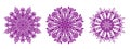 Ornamental round floral hand drawn pattern. Set of three purple mozaic mandalas, kaleidoscope, for coloring, antistress