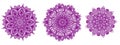 Ornamental round floral hand drawn pattern. Set of three purple mozaic mandalas, kaleidoscope, for coloring, antistress Royalty Free Stock Photo