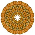 Ornamental round organic pattern, circle colorful mandala with many details on white background.