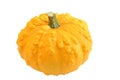 Ornamental squash