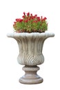 Ornamental stone flowerpot Royalty Free Stock Photo