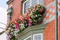 Ornamental Street Flowers - Dublin Ireland Royalty Free Stock Photo