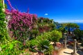 Ornamental suspended garden,Rufolo gardens,Ravello,Amalfi coast,Italy,Europe