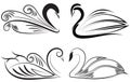 Ornamental swan illustration Royalty Free Stock Photo