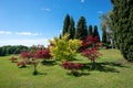 Ornamental trees and shrubs in a park or botanical garden