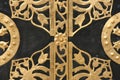 Ornamented door Royalty Free Stock Photo