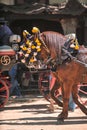 Ornaments on the head of carriage horses