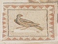 Ornate ancient roman floor tiles depicting a bird, detail of Ruins of Italica, Roman city in the province of Hispania Baetica