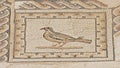 Ornate ancient roman floor tiles depicting a bird, detail of Ruins of Italica, Roman city in the province of Hispania Baetica