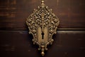 An ornate antique keyhole with a decorative escutcheon Royalty Free Stock Photo