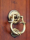 Polished Brass Door Knocker, Rome, Italy