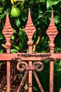 Ornate antique Victorian iron metal garden fence Royalty Free Stock Photo